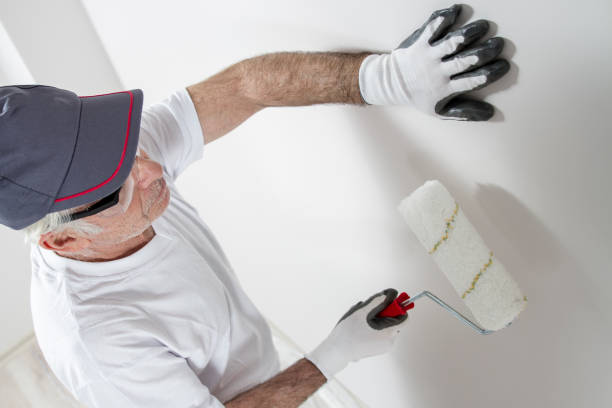 Best Drywall Removal and Disposal  in Sandusky, MI